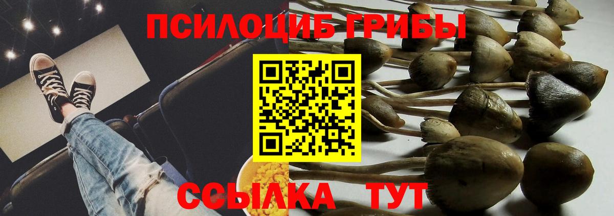 Татарск  Псилоцибиновые грибы Cubensis  Вход с VPN 